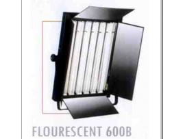 Tronic Fluorescent 600B Tronic Fluorescent 600B